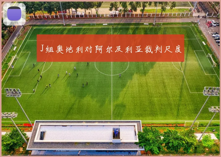 J组奥地利对阿尔及利亚裁判尺度
