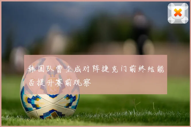韩国队曹圭成对阵捷克门前终结能否提升赛前观察