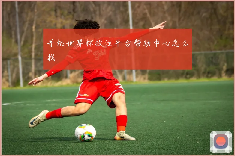 手机世界杯投注平台帮助中心怎么找